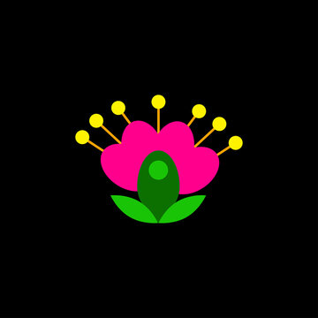 Multicolored flower with petal mexican embroidery