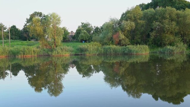 Stunning view of trees reflected on a lake with a glass like mirror water surface. A house in a village with an apiary stands among the green trees near a pond with a cattail and a reed. 4K landscape