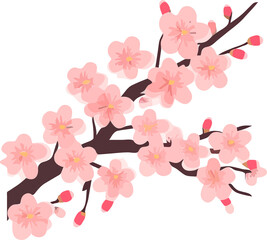 sakura cherry blossom flower element