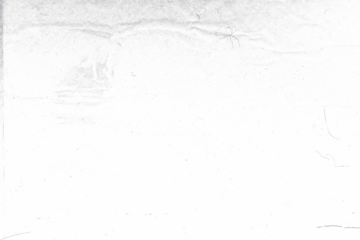 Halftone Effect Overlay. Photo Effect For Your Design. Monochrome Abstract Background. Grunge Texture