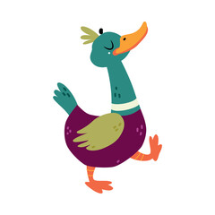 Funny Dabbling Duck Character Walking Vector Illustration