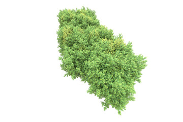 Fototapeta premium Landscape isolated on transparent background. 3d rendering - illustration