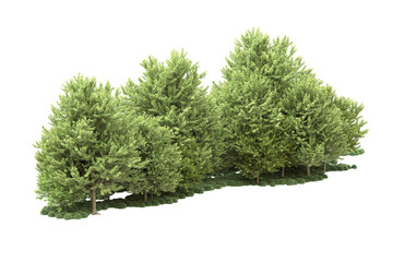 Fototapeta premium Landscape isolated on transparent background. 3d rendering - illustration