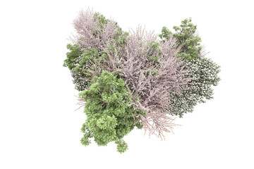 Fototapeta premium Landscape isolated on transparent background. 3d rendering - illustration