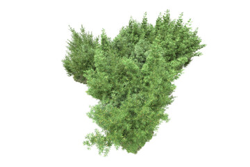 Obraz premium Landscape isolated on transparent background. 3d rendering - illustration
