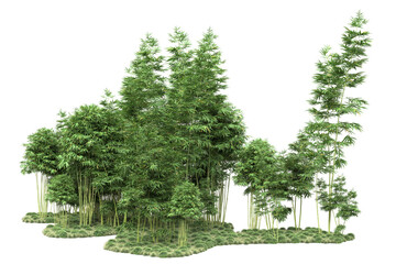 Landscape isolated on transparent background. 3d rendering - illustration