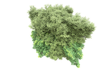 Obraz premium Landscape isolated on transparent background. 3d rendering - illustration