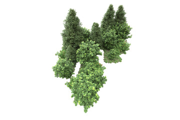 Landscape isolated on transparent background. 3d rendering - illustration