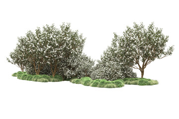 Fototapeta premium Landscape isolated on transparent background. 3d rendering - illustration