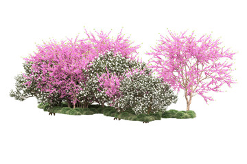 Fototapeta premium Landscape isolated on transparent background. 3d rendering - illustration