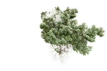 Landscape isolated on transparent background. 3d rendering - illustration