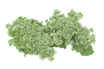 Obraz premium Landscape isolated on transparent background. 3d rendering - illustration