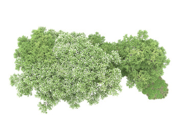 Obraz premium Landscape isolated on transparent background. 3d rendering - illustration