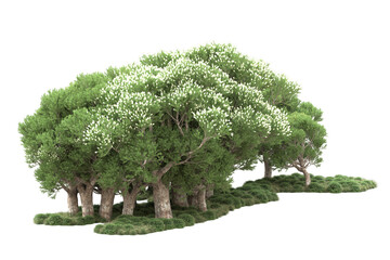 Fototapeta premium Landscape isolated on transparent background. 3d rendering - illustration