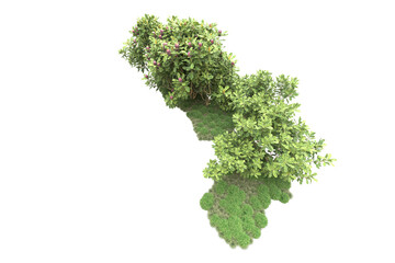 Obraz premium Landscape isolated on transparent background. 3d rendering - illustration