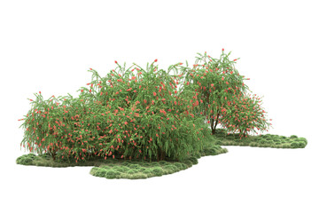 Landscape isolated on transparent background. 3d rendering - illustration