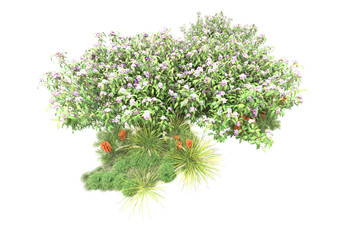 Fototapeta premium Landscape isolated on transparent background. 3d rendering - illustration