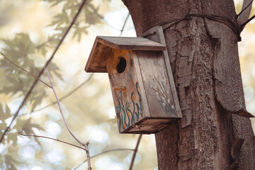 A wooden birdhouse bolted to a tree in a park with wire. Animal Protection Day. Environmental care. Humanity and wildlife. Bird feeder and squirrel. City park.