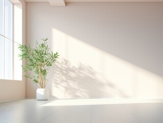 Minimalistic empty brightly lit room with all white walls and green plant in a pot, mockup, blank empty copy space. Generative AI