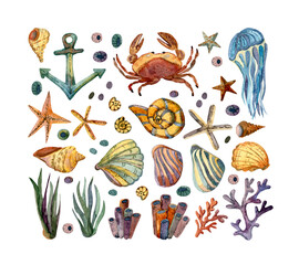 Crab, shells, seaweed, jellyfish, anchor, marine life, starfish and coral. Large watercolor collection of marine life. Scrapbooking, memories. Suitable for decorating summer photo albums.