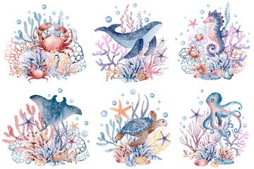 Sea animals set. Marine watercolor illustrations of seahorses, starfish, crabs, corals, algae, shells, bubbles. Isolated on white background.