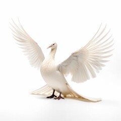 Fototapeta na wymiar Iceland gull bird isolated on white. Generative AI