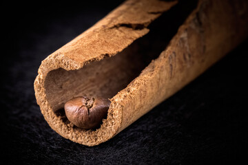 macro photo of dried cinnamon tree bark