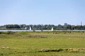 Sailboats on the Kagerplassen (Spriet) with people sailing in the South-Holland village of Warmond in the Netherlands. On a beautiful day with a blue cloudy sky.