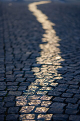 road in the street near Odeonsplatz (Viscardigasse).
Bronze/gold coloured cobble stones along this...