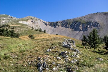 Alpage en D&eacute;voluy
