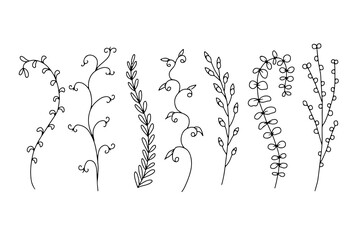 Hand drawn wild flowers illustrations set isolated on white background. Minimalist floral doodles.