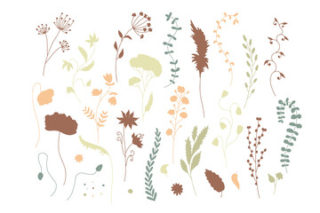 Hand drawn abstract wild flowers illustrations set isolated on white background. Minimalist floral silhouettes, muted earthy colors.