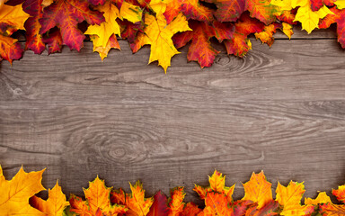 Naklejka na ściany i meble yellow wet autumn leaves on the background a dark old wood
