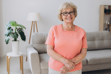 Comfort relaxed senior old elderly woman grandmother at home looking at camera in the living room. Pension concept.