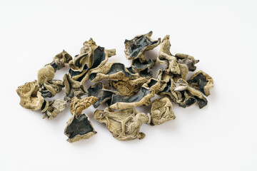 Dried fungus on monochrome background