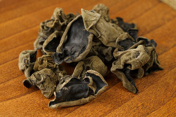 Dried fungus on monochrome background