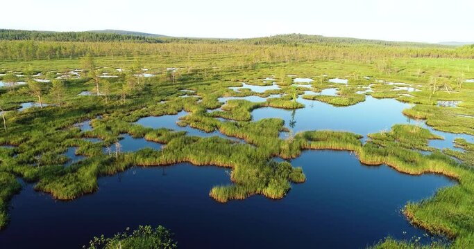 Movement over a natural wetland on a summer evening near Kemijärvi, Northern Finland