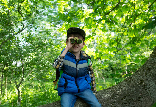 Junge auf einem Baum schaut durch ein Fernglas