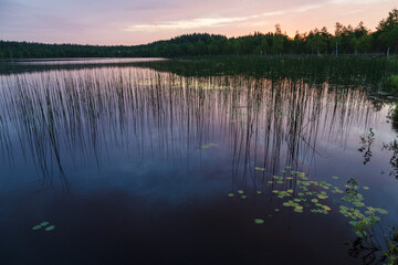 Lake in the forest in Latgale region, Latvia. Sunset, reflection. Wallpaper, background