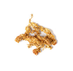 Dry Sphagnum Moss, Ecology Gardening Soil, Plant Moisture, Natural Antibiotic, Eco Supplement