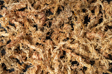 Dry Sphagnum Moss, Ecology Gardening Soil, Plant Moisture, Natural Antibiotic, Eco Supplement