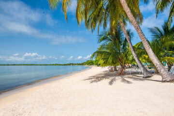 The beach at Playa Larga on the Zapata Peninsula in Cuba - 624539778