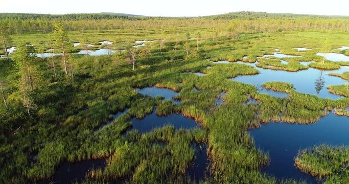 Slow movement through a summery wetland with bog ponds near Kemijärvi, Northern Finland