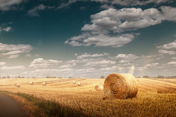 trockenes erntefeld mit strohballen mit einem gehweg und schönen blauen himmel mit wolken © thebigticket20
