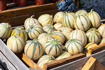 Melons from Cavaillon, ripe round charentais honey cantaloupe melons on market in Provence, France
