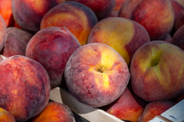 New harvest of fresh ripe sweet yellow-red peaches fruits in Provence