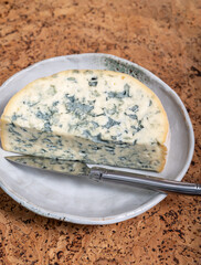 Cheese collection, piece of French blue cheese auvergne or fourme d'ambert close up