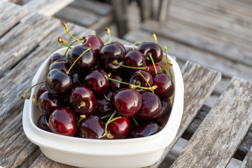 New harvest of fresh ripe dark red cherry berry in Provence, France