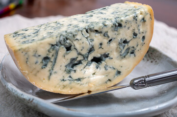 Cheese collection, piece of French blue cheese auvergne or fourme d'ambert close up