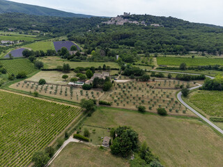 Fototapeta na wymiar Aerial view on rows of vineyards, green fiels and Lacoste village in Luberon, Provence, France in July